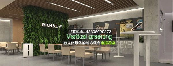 江西室內墻面垂直立體綠化