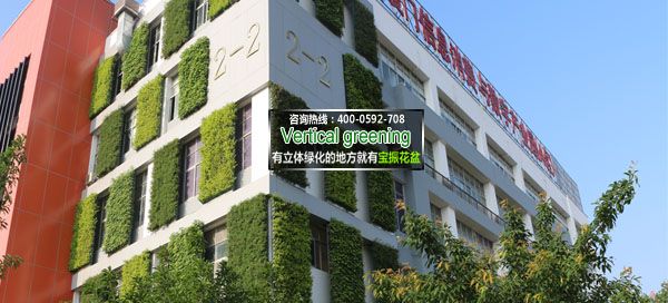 廈門創意園室外垂直立體綠化