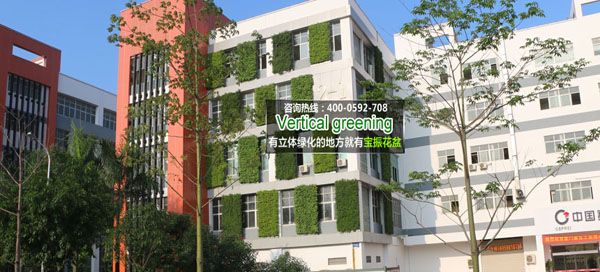 廈門創意園室外垂直墻立體綠化2